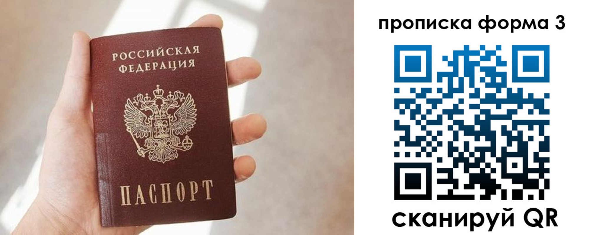 прописка для школы в Белой Калитве